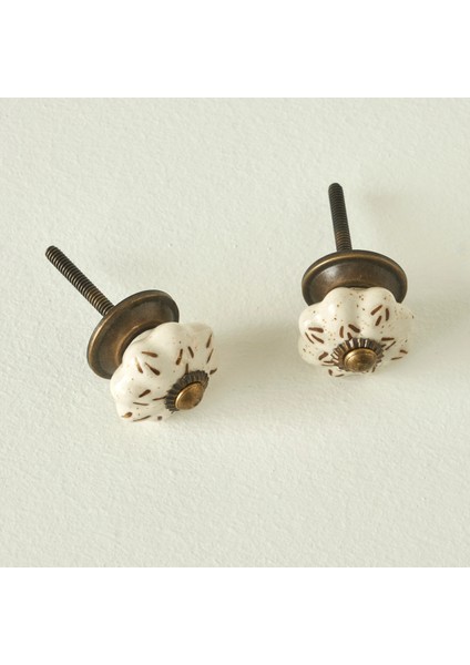 Alora Kulp 4'lü Beyaz (6,5x3x3 cm) fiyatları