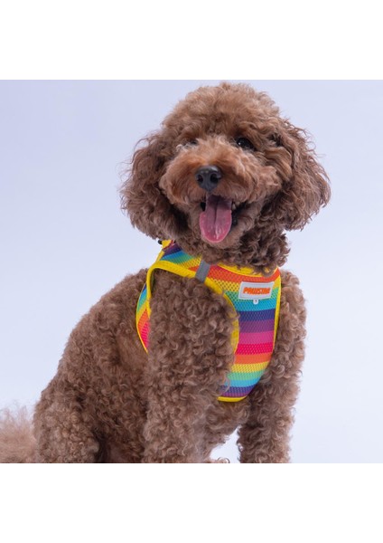 Rainbow Air-Mesh Göğüs Tasması Kedi Köpek Göğüs Tasması Gökkuşağı Desenli Köpek Tasması