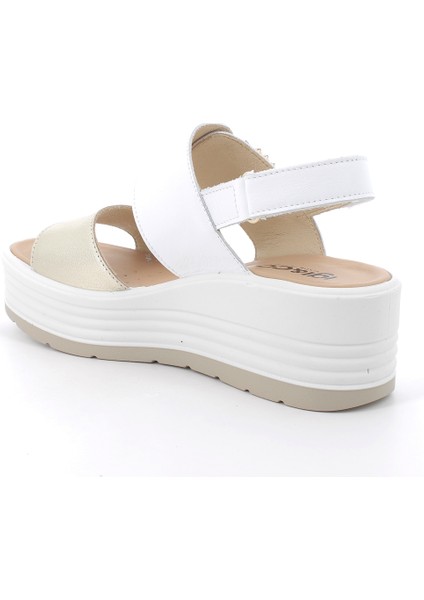 Kadın Sandalet 7667322 Igı&co Dae 76673 Fıo.bo.ome/napp Platino Bianco modelleri