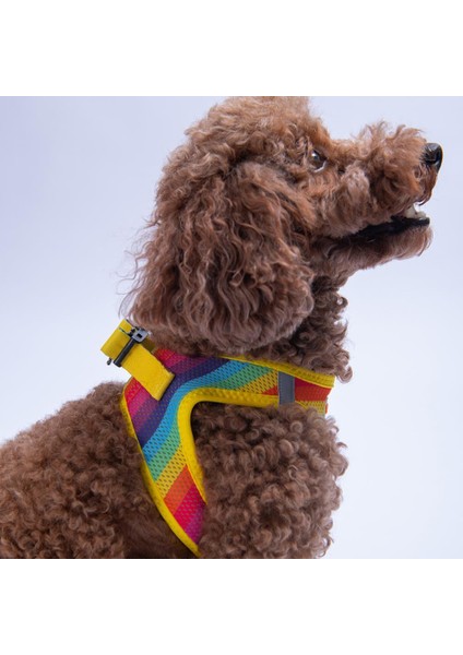 Rainbow Air-Mesh Göğüs Tasması Kedi Köpek Göğüs Tasması Gökkuşağı Desenli Köpek Tasması modelleri