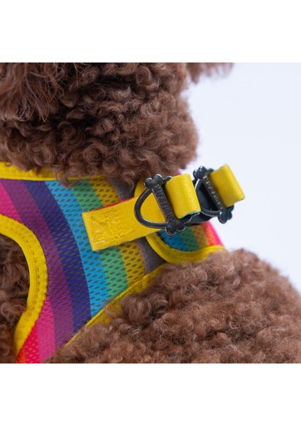 Rainbow Air-Mesh Göğüs Tasması Kedi Köpek Göğüs Tasması Gökkuşağı Desenli Köpek Tasması fırsatları
