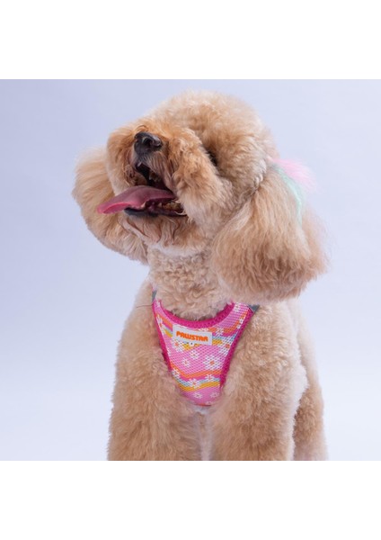 Daisy Air-Mesh Göğüs Tasması Kedi Köpek Göğüs Tasması Papatya Desenli Köpek Tasması