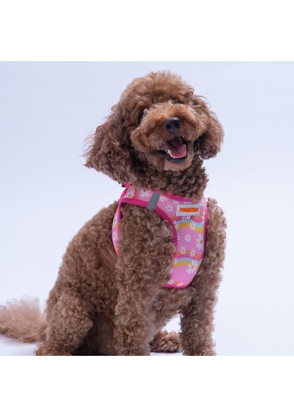 Daisy Air-Mesh Göğüs Tasması Kedi Köpek Göğüs Tasması Papatya Desenli Köpek Tasması modelleri