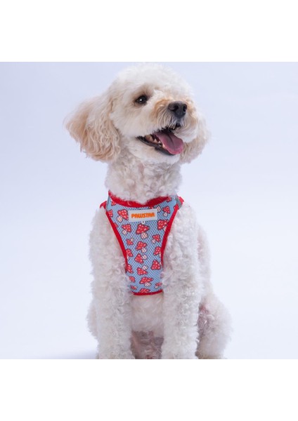 Mushroom Air-Mesh Göğüs Tasması Kedi Köpek Göğüs Tasması Mantar Desenli Köpek Tasması