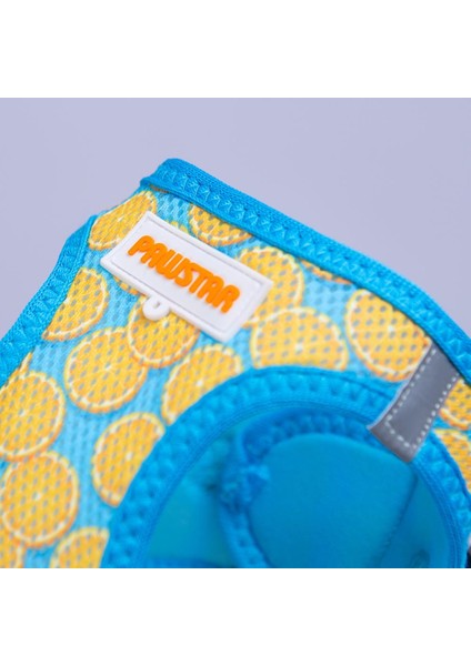 Citrus Air-Mesh Göğüs Tasması Kedi Köpek Göğüs Tasması Narenciye Desenli Köpek Tasması fiyatları