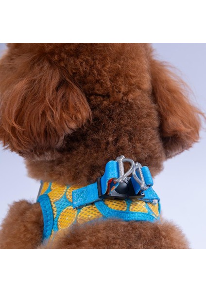 Citrus Air-Mesh Göğüs Tasması Kedi Köpek Göğüs Tasması Narenciye Desenli Köpek Tasması fırsatları