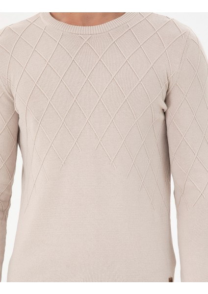 Erkek Taş Kazak /Triko 50292863-VR049