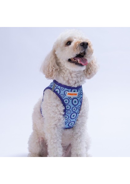 Charm Air-Mesh Göğüs Tasması Kedi Köpek Göğüs Tasması Nazar Boncuğu Desenli Köpek Tasması