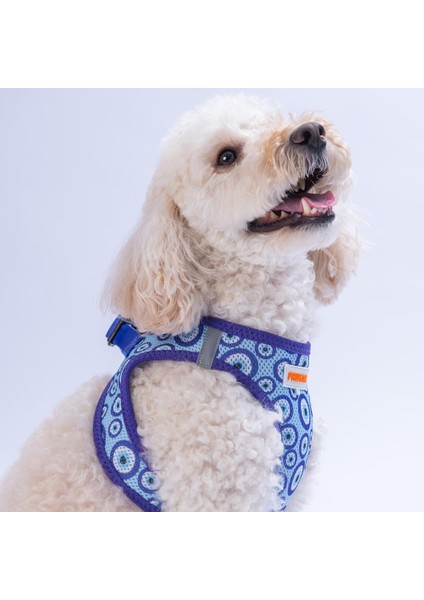 Charm Air-Mesh Göğüs Tasması Kedi Köpek Göğüs Tasması Nazar Boncuğu Desenli Köpek Tasması modelleri