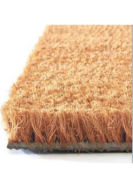 Nazar Boncuğu Kapı Önü Paspası fiyatları