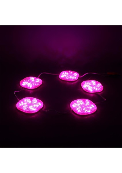 12 Volt 3 Watt Pembe Yanıp Sönen 6565-2835 Modül LED fiyatları