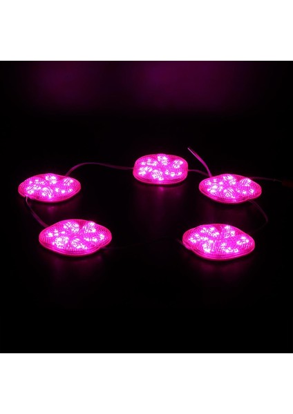 12 Volt 3 Watt Pembe Sabit 6565-2835 Modül LED fiyatları