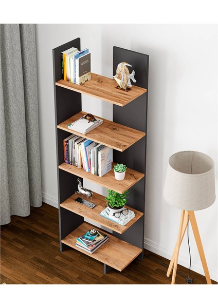 Asimetrik Beş Raflı Kitaplık Kt3 Antrasit Çam fiyatları