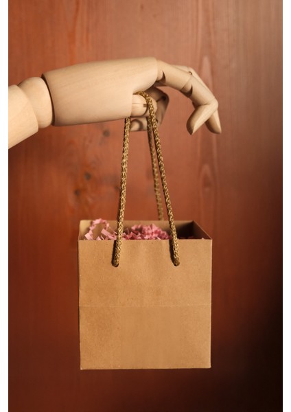 Kraft Karton Pasta Çanta, 10'lu Paket - Kare Taban, Körüklü, Ipli Hediye Taşıma Çantası, 10X10X10 cm modelleri