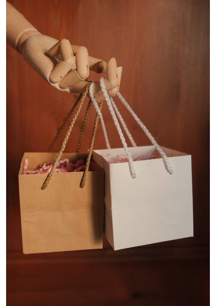Kraft Karton Pasta Çanta, 10'lu Paket - Kare Taban, Körüklü, Ipli Hediye Taşıma Çantası, 10X10X10 cm indirimleri