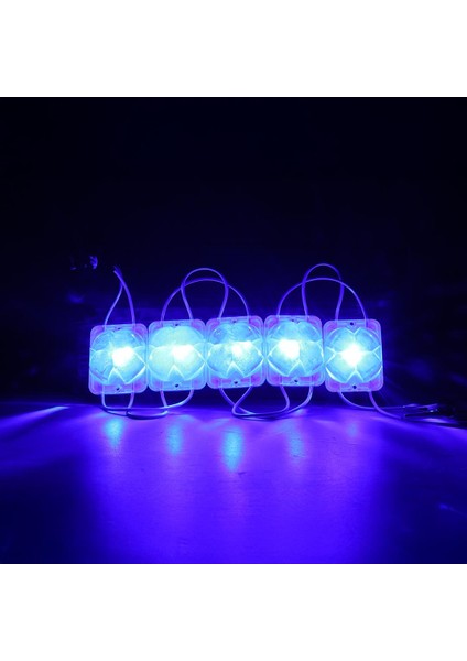 12 Volt 2 Watt Mavi Sabit 4333-3030 Modül LED fiyatları