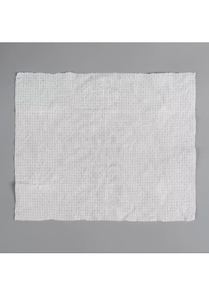 Suda Büyüyen Sıkıştırılmış Mendil 20 Adet modelleri