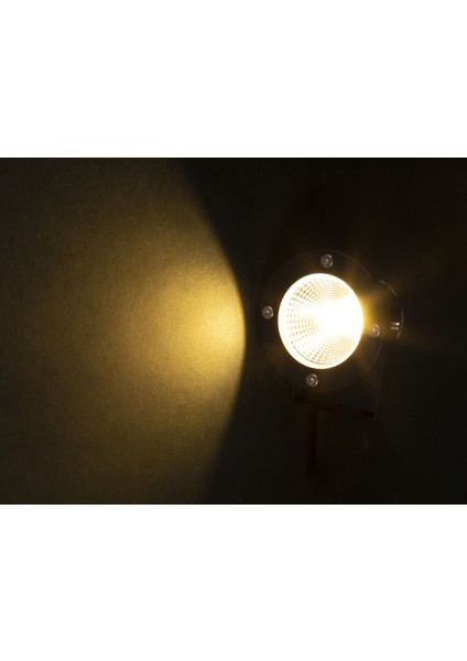 10W LED Bahçe Armatürü Gün Işığı modelleri