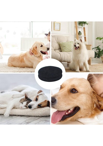 20PCS Hepa Filtre Sünger Yedek Aksesuarlar Neakasa/neabot P1 Pro Pet Bakım Kiti ve Vakum (Yurt Dışından) fırsatları