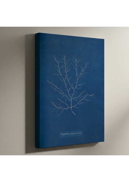 Mavi Arka Plan Soyut Bitki Tablosu