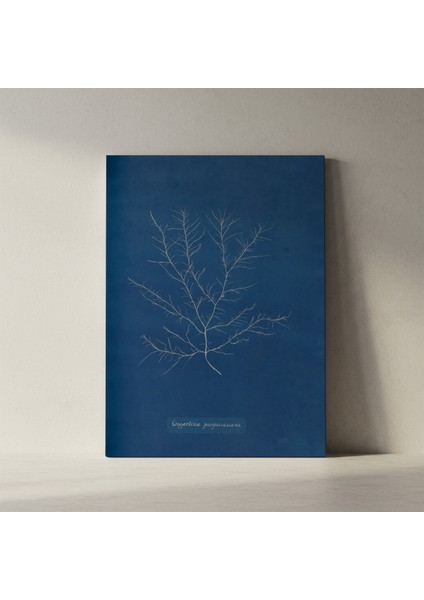 Mavi Arka Plan Soyut Bitki Tablosu fiyatları