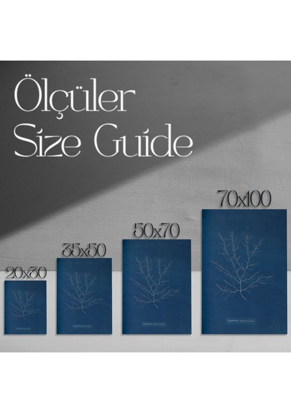 Mavi Arka Plan Soyut Bitki Tablosu modelleri