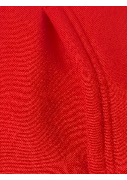 Fermuar Desenli Kedili Kapüşonlu Oversize Sweatshirt modelleri