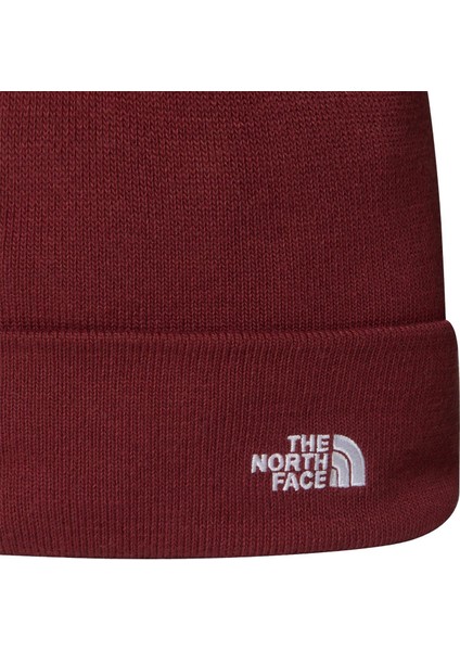 Norm Beanıe Unisex Bere NF0A5FW10VO1 fiyatları