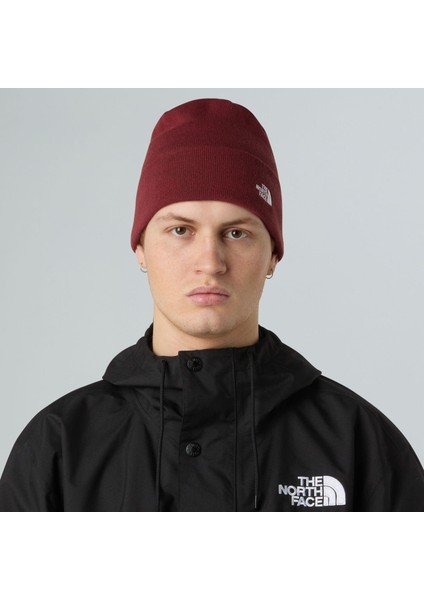 Norm Beanıe Unisex Bere NF0A5FW10VO1 modelleri