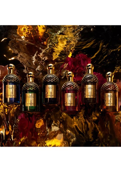 Santal Royal Saç Spreyi 40 ml Oud & Yasemin Notalarıyla Lüks Koku indirimleri