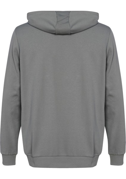 T-Ic Ico Hoodıe modelleri