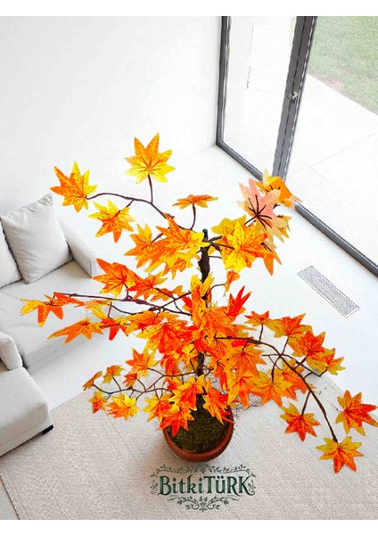 -Beton Saksıda 100+CM Yapay Ağac Çınar Ofis Salon Cafe