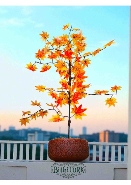 -Beton Saksıda 100+CM Yapay Ağac Çınar Ofis Salon Cafe fiyatları