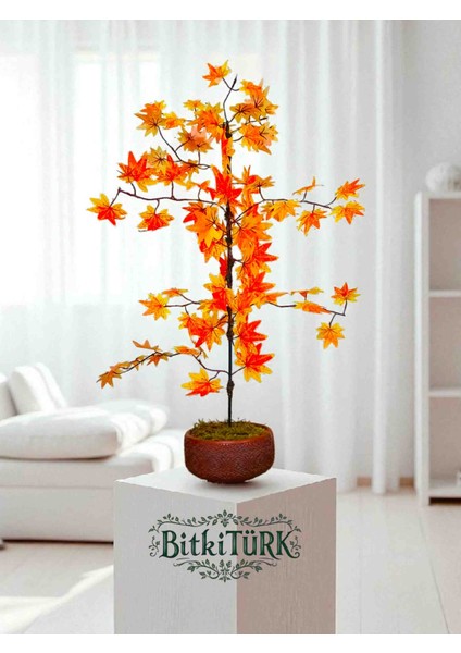 -Beton Saksıda 100+CM Yapay Ağac Çınar Ofis Salon Cafe modelleri