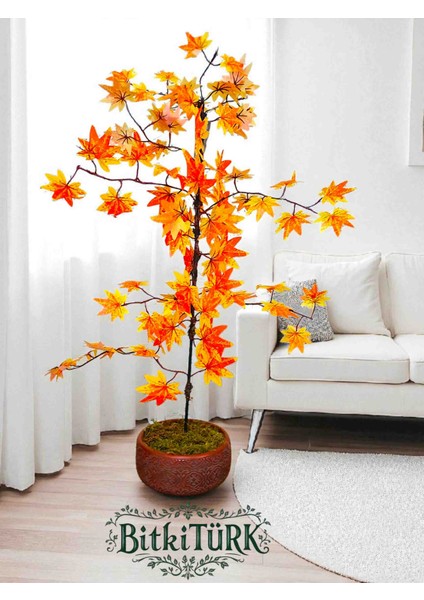 -Beton Saksıda 100+CM Yapay Ağac Çınar Ofis Salon Cafe fırsatları