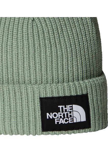 Salty Lıned Beanıe 3'lü Bere NF0A8CGZBQ11 fiyatları