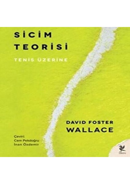 Sicim Teorisi