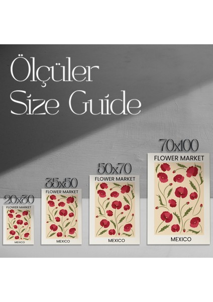 Meksika Haşhaş Çiçekleri Desenli Tablo modelleri