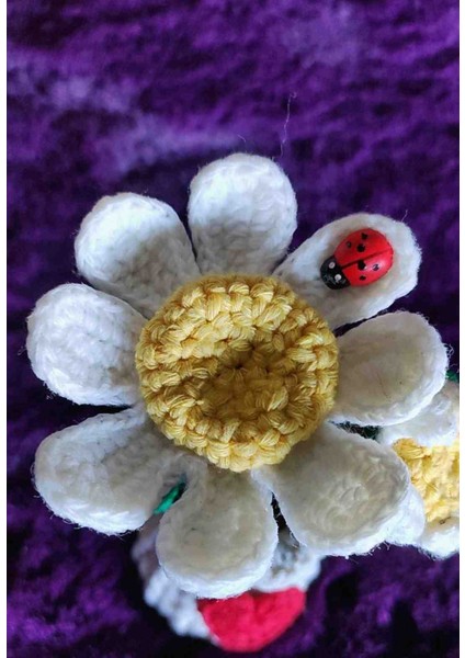 Beyaz Papatya Saksılı Dekor Yapay Çiçek modelleri