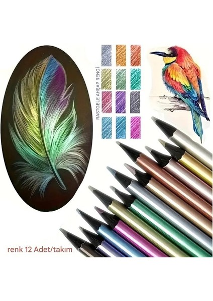 Kara Kalem Çizim Seti Metalik 12 Renk Kalem Çizim Set, Parlak Eskiz ve TONLAMA-12LI