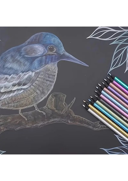 Kara Kalem Çizim Seti Metalik 12 Renk Kalem Çizim Set, Parlak Eskiz ve TONLAMA-12LI modelleri