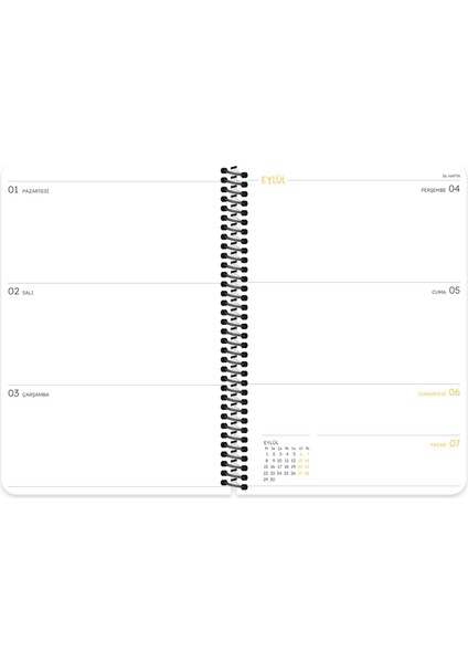 Hisli Şeyler A5 Spiralli Akademik Ajanda - Düşünüyorum Öyleyse Narım indirimleri