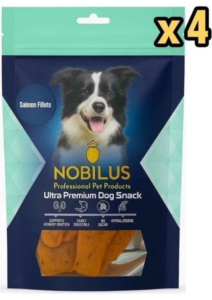 Köpek Ödül Maması Somon Fileto 80 gr x 4 Adet