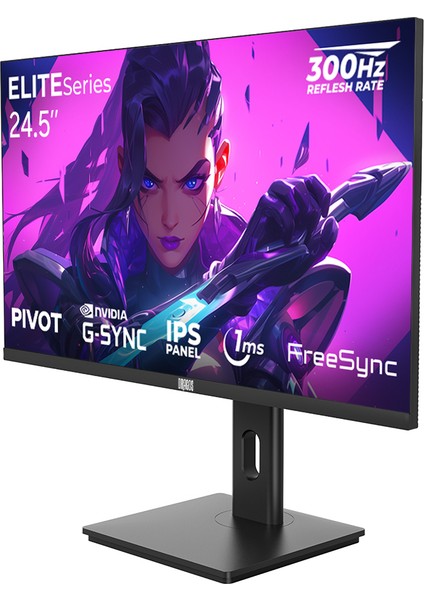 Elıteseries E245FHD300 1ms Fhd 300Hz 1920x1080 24.5" Freesync G-Sync IPS Pivot Oyuncu Monitörü modelleri