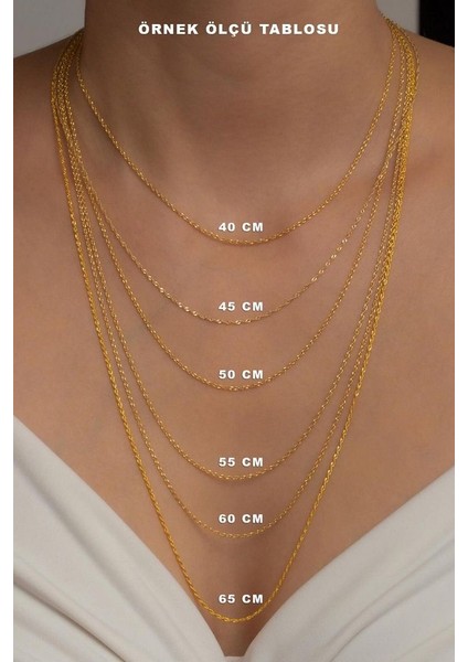 14 Ayar Altın Viyana Zincir Kolye fırsatları
