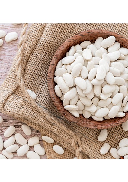 Organik Dermason Fasulye 1 kg x 15 Adet fırsatları