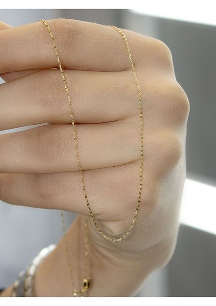 14 Ayar Altın Ince Aynalı Zincir Kolye fırsatları