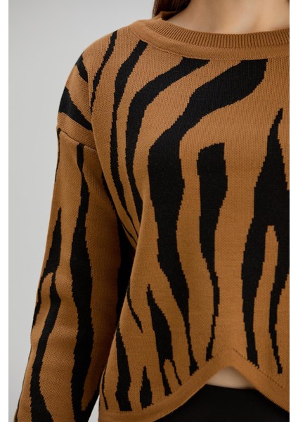 Zebra Desenli Kazak Toprak fırsatları