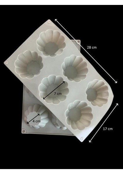 Silikon Kek Kalıbı Şambaba fiyatları