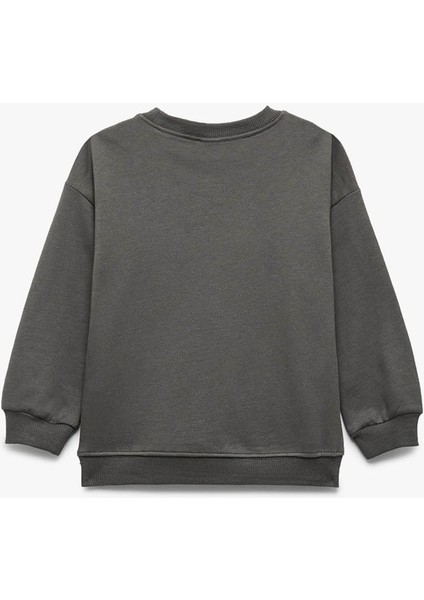 Şardonlu Bisiklet Yaka Fiyonk Baskılı Antrasit Kız Bebek Sweatshirt 6WMG10102AK fiyatları